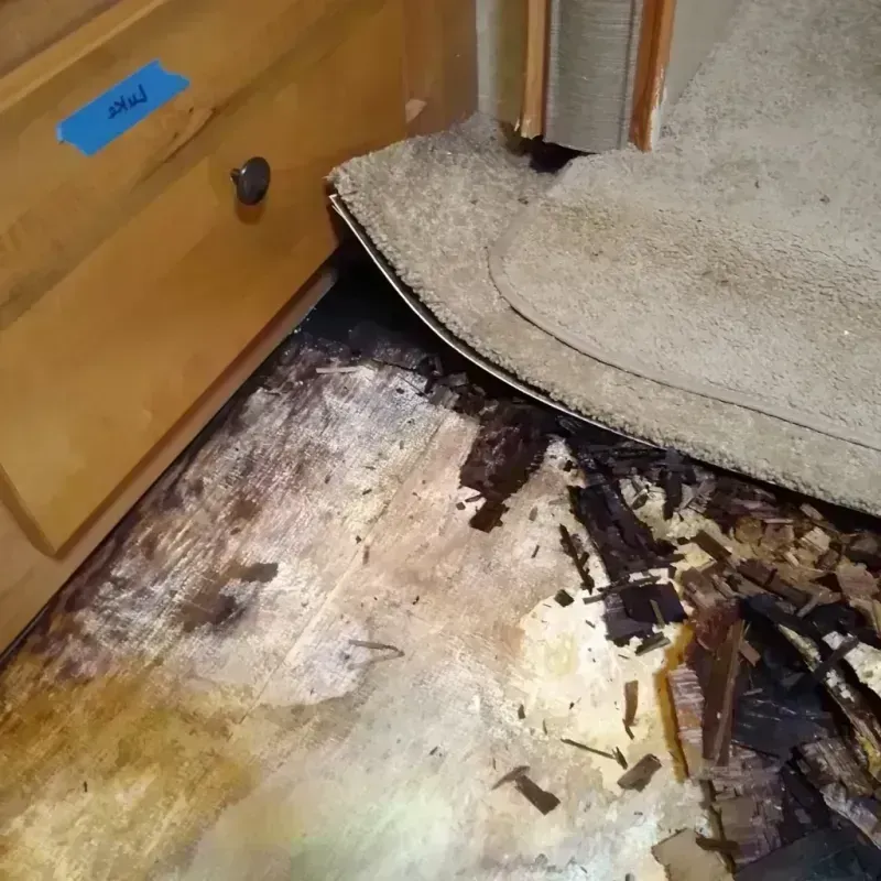 Best Wood Floor Water Damage Service in East Garfield Park, IL